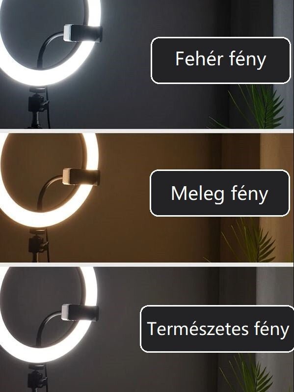 Jeemak PC50 Körfény Állvánnyal - LED Selfie Lámpa Telefon Tartóval - BShopyX001BWE12R_2