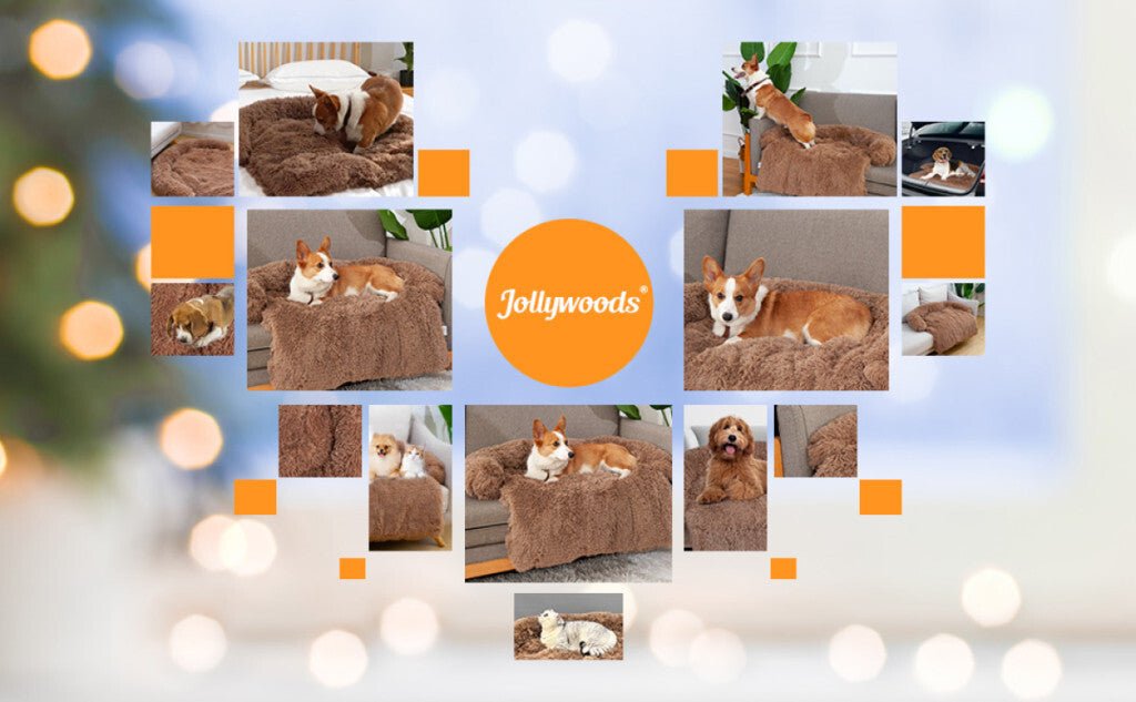 Jollywoods Kanapévédő Kutyaágy Kis - és Közepes Méretű Kutyáknak Barna L (110x110x15cm) - BShopy