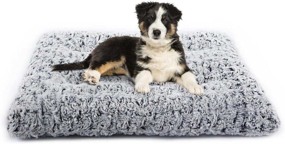 TEFOMATE Rövid Szőrű Plüss Kutyaágy M (Szürke) - BShopyX001F4O31P_0