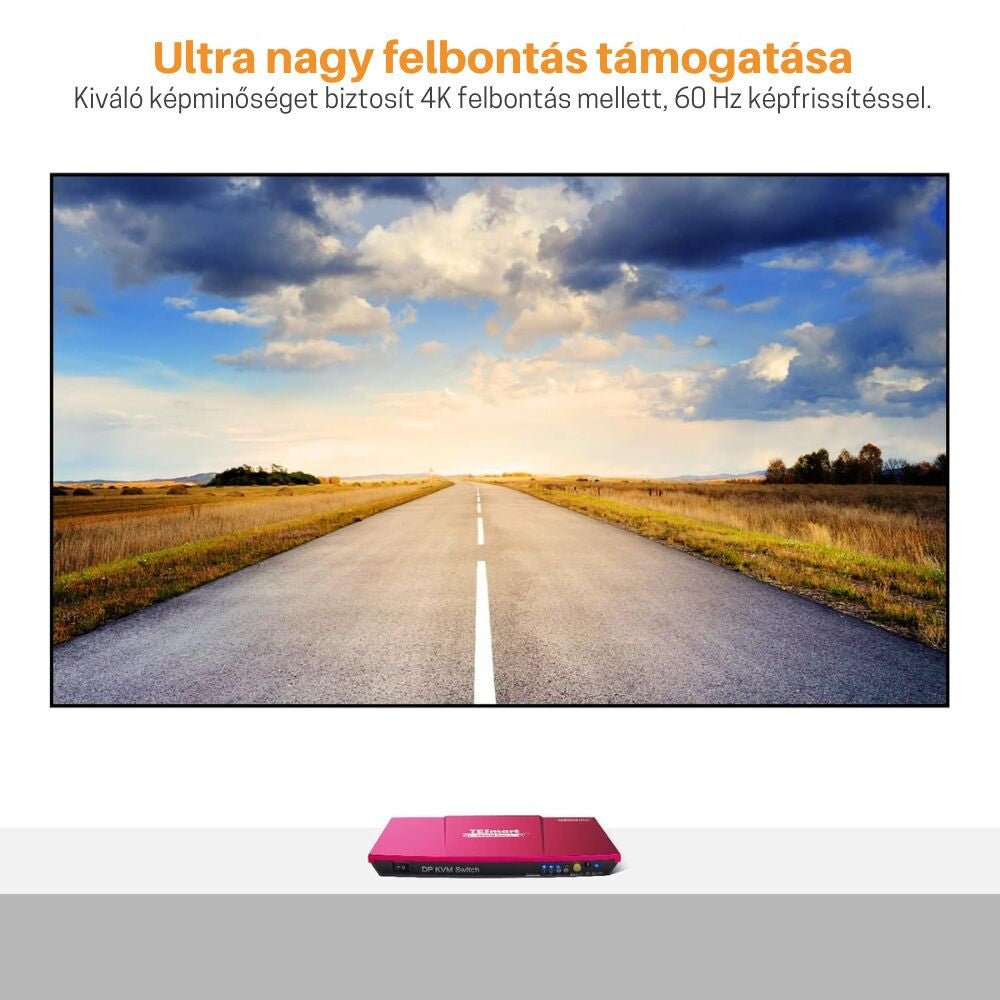 TESmart KVM Switch DisplayPort 4K 60Hz – 2 számítógéphez - BShopy